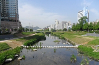 창원천 생태하천 복원사업