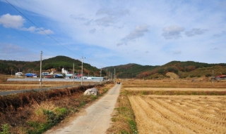 동송지구 배수개선사업 토목공사